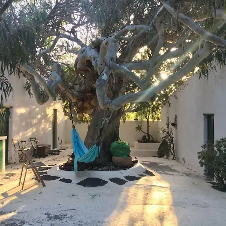 Apartament Patio I La Asomada (Lanzarote)